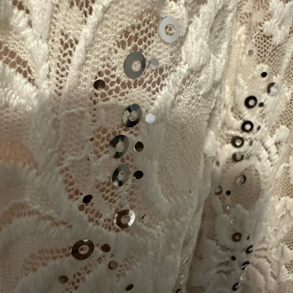 R&M Richards Beige Lace Sequin Dress